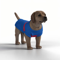 Crystal Palace FC 25/26 Home Inspired Pet Graphic Tee Shirt (Sizes XS-Small)