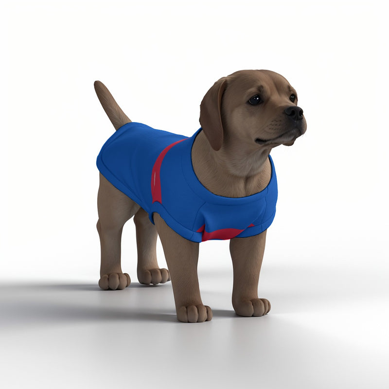 Crystal Palace FC 25/26 Home Inspired Pet Graphic Tee Shirt (Sizes XS-Small)