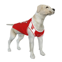 Arsenal FC 25/26 Home Kit Inspired Personalized Tank