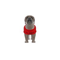Manchester United FC 25/26 Home Inspired Graphic Pet Tee Shirt (Size M-2x)