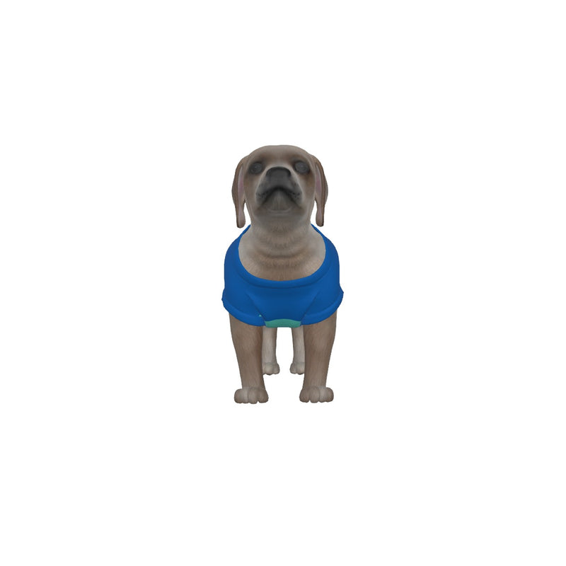 Brighton & Hove Albion FC 25/26 Home Inspired Pet Graphic Tee Shirt (Sizes XS-Small)