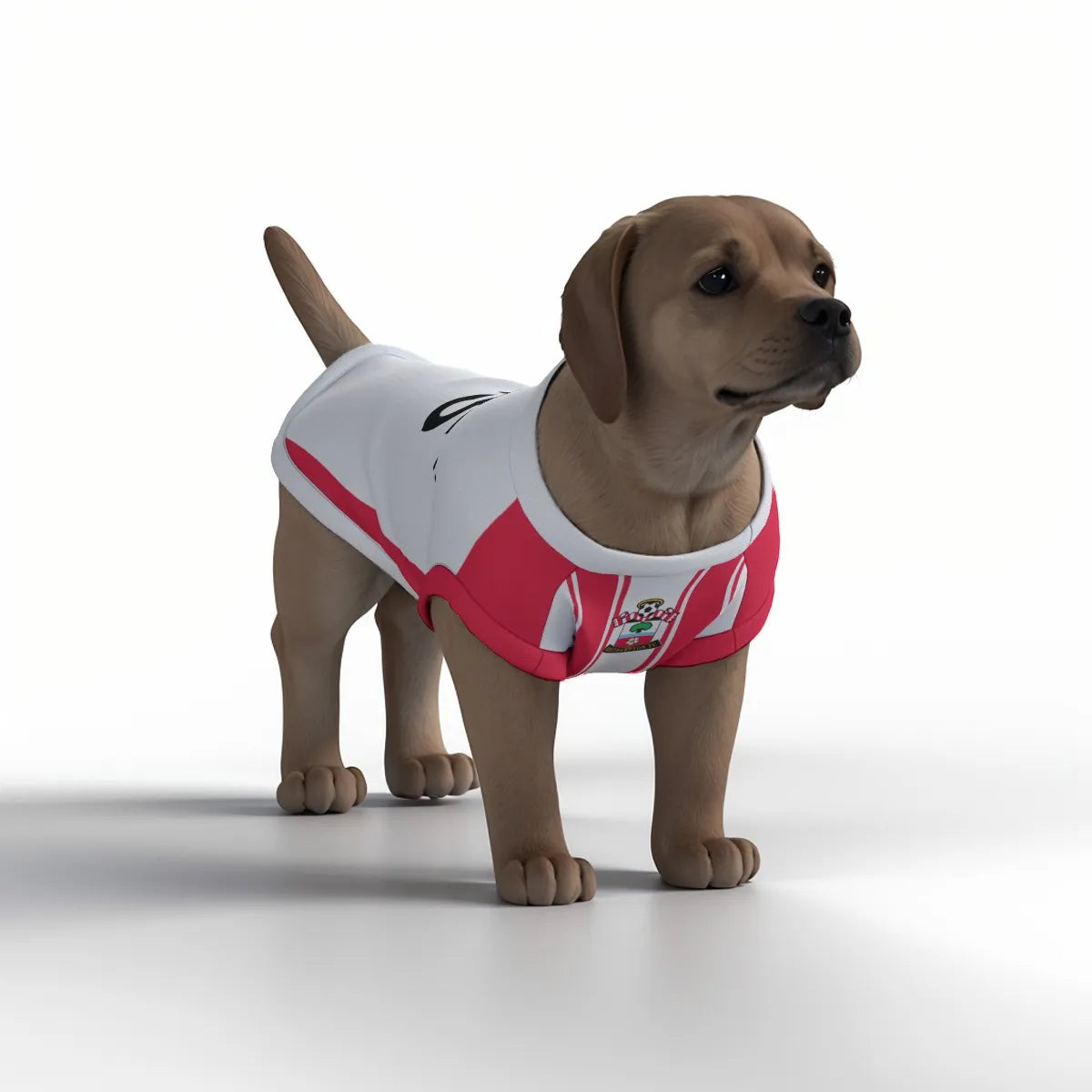 Southampton FC 25/26 Home Kit Inspired Personalized Tank