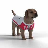 Southampton FC 25/26 Home Kit Inspired Personalized Tank