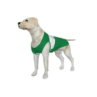 Celtic FC 25/26 Home Inspired Pet Graphic Tee Shirt (Sizes XS-Small)