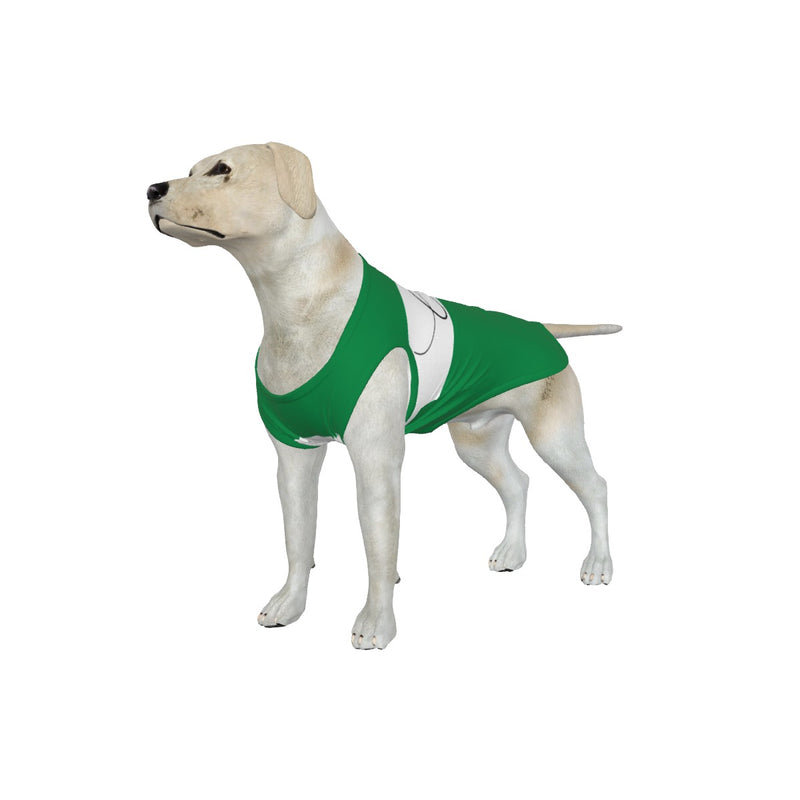 Celtic FC 25/26 Home Inspired Pet Graphic Tee Shirt (Sizes XS-Small)