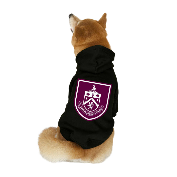 Dog wearing a black hoodie with a Burnley FC crest on a beige background