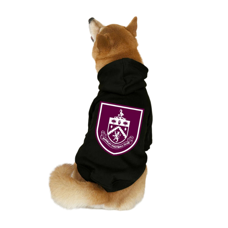 Dog wearing a black hoodie with a Burnley FC crest on a beige background
