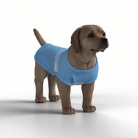 Manchester City FC 25/26 Home Inspired Pet Graphic Tee Shirt (Sizes XS-Small)