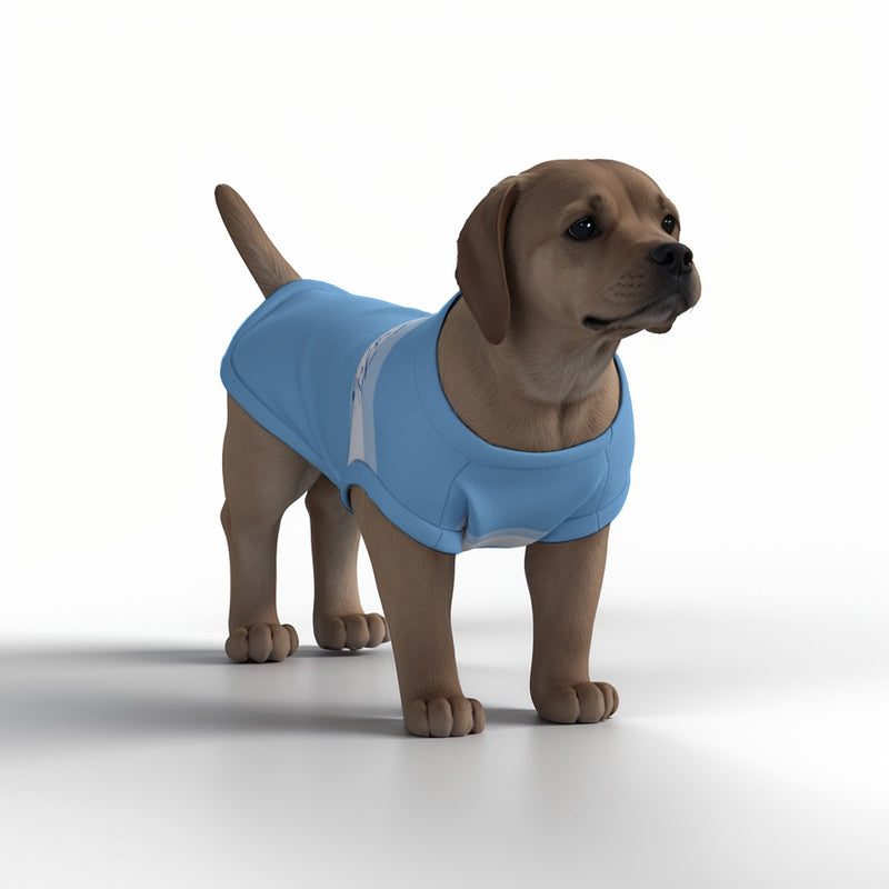 Manchester City FC 25/26 Home Inspired Pet Graphic Tee Shirt (Sizes XS-Small)