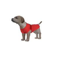 Nottingham Forest FC 25/26 Home Inspired Pet Graphic Tee Shirt (Sizes XS-Small)
