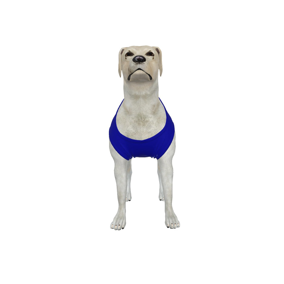 Everton FC 25/26 Home Inspired Graphic Pet Tee Shirt (Size M-2x)