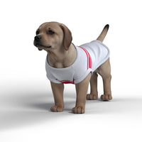 Southampton FC 25/26 Home Inspired Pet Graphic Tee Shirt (Sizes XS-Small)