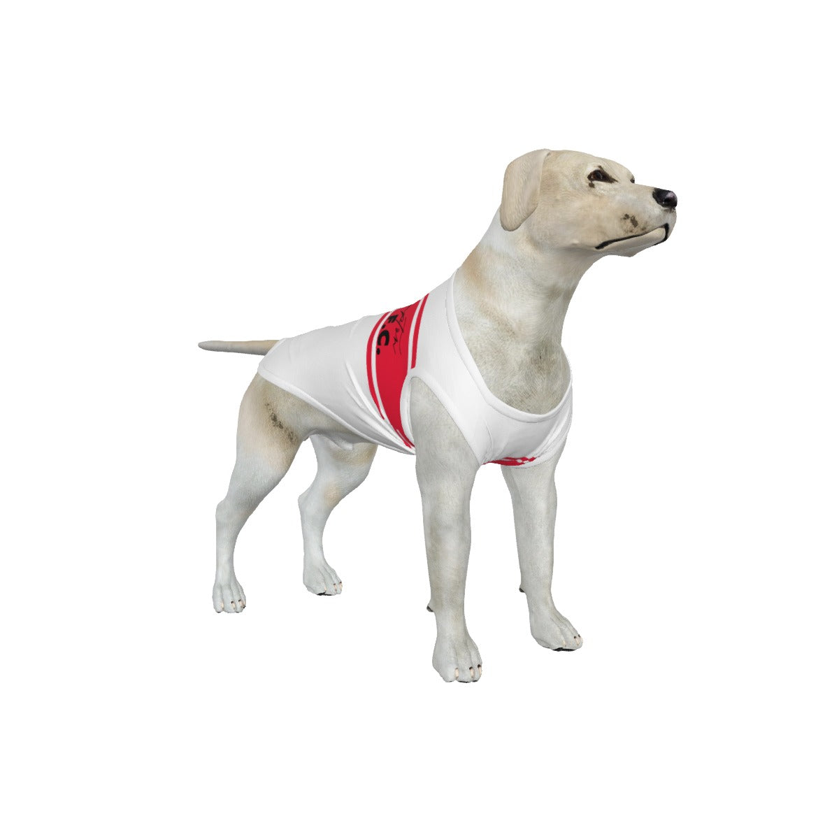 Southampton FC 25/26 Home Inspired Graphic Pet Tee Shirt (Size M-2x)
