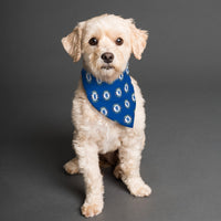 Chelsea FC 25/26 Home Kit Inspired Reversible Bandana