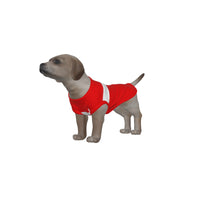 Brentford FC 25/26 Home Inspired Pet Graphic Tee Shirt (Sizes XS-Small)
