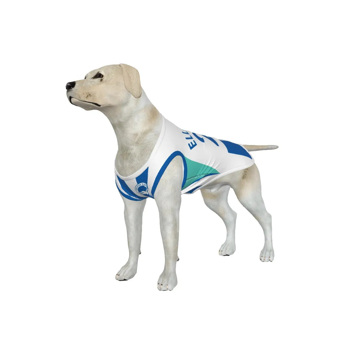 Brighton & Hove Albion FC 25/26 Home Kit-Inspired Personalized Tank
