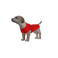 Manchester United FC 25/26 Home Inspired Graphic Pet Tee Shirt (Size M-2x)