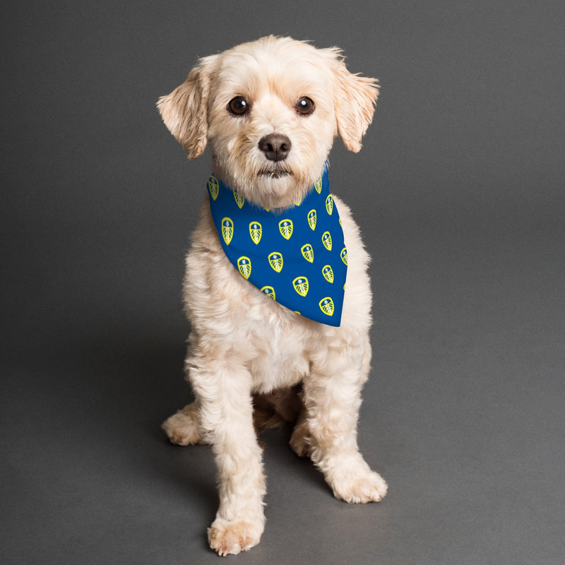Leeds United FC 25/26 Home Kit Inspired Reversible Bandana