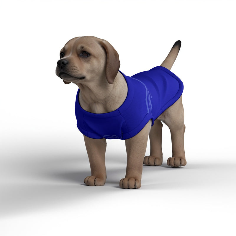 Everton FC 25/26 Home Inspired Pet Graphic Tee Shirt (Sizes XS-Small)
