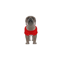 Brentford FC 25/26 Home Inspired Pet Graphic Tee Shirt (Sizes XS-Small)