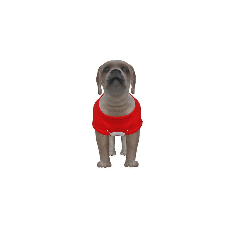 Brentford FC 25/26 Home Inspired Pet Graphic Tee Shirt (Sizes XS-Small)