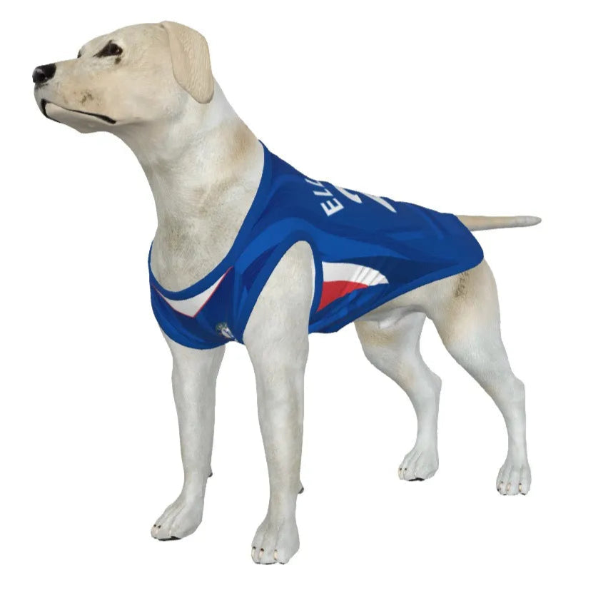 Chelsea FC 25/26 Home Kit Inspired Personalized Tank