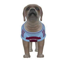 Aston Villa FC 24/25 Home Inspired Pet Tee (Size XS-Small) 