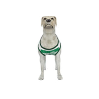 Celtic FC 25/26 Home Kit Inspired Personalized Tank