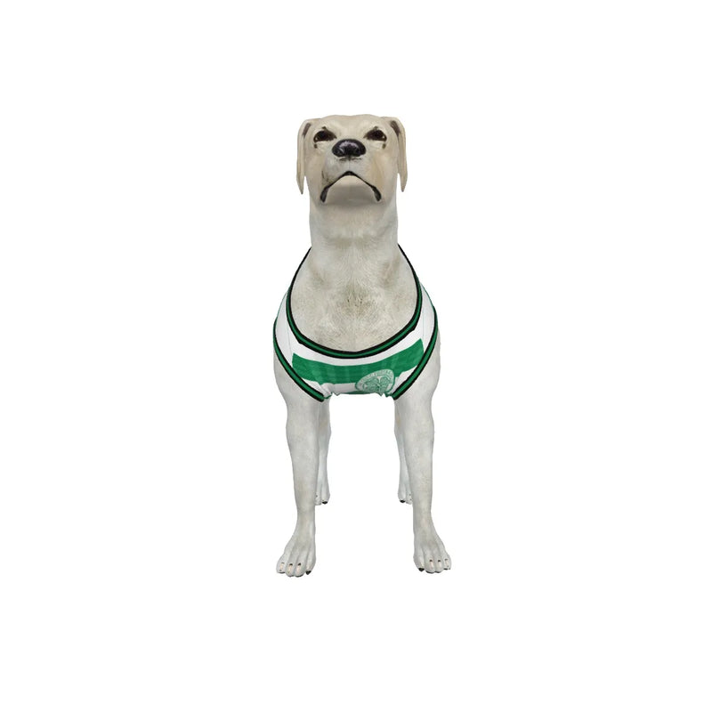 Celtic FC 25/26 Home Kit Inspired Personalized Tank