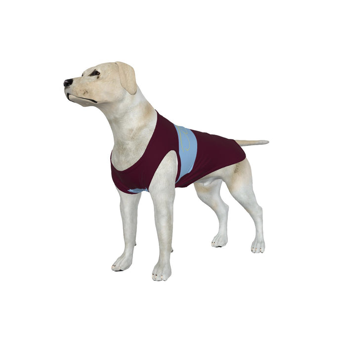 Aston Villa FC 25/26 Home Inspired Graphic Pet Tee Shirt (Size M-2x)