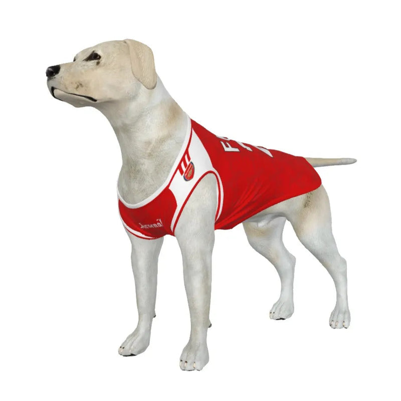 Arsenal FC 25/26 Home Kit Inspired Personalized Tank