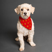 Manchester United FC 25/26 Home Kit Inspired Reversible Bandana