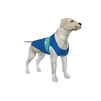 Brighton & Hove Albion FC 25/26 Home Inspired Pet Graphic Tee Shirt (Sizes Medium-2XLarge)