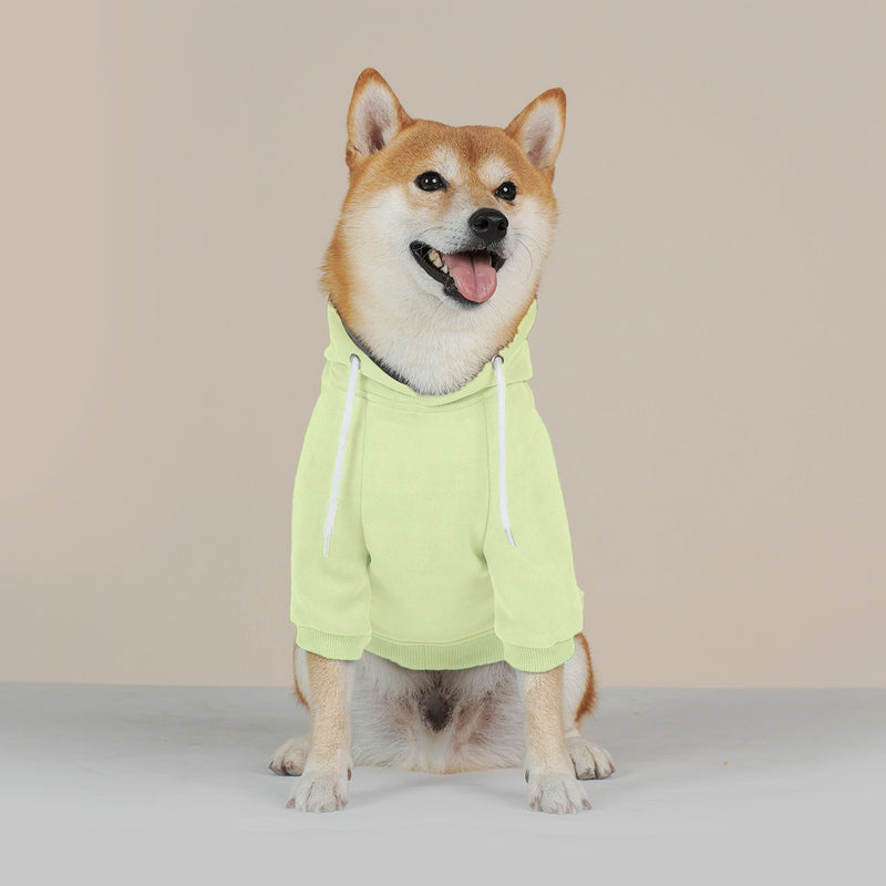 Chelsea FC 25/26 Team-Inspired Cotton-Blend Pet Hoodie