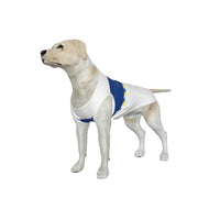 Leeds United FC 25/26 Home Inspired Graphic Pet Tee Shirt (Size M-2x)