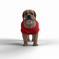 Arsenal FC 25/26 Home Inspired Graphic Pet Tee Shirt (Size M-2x)