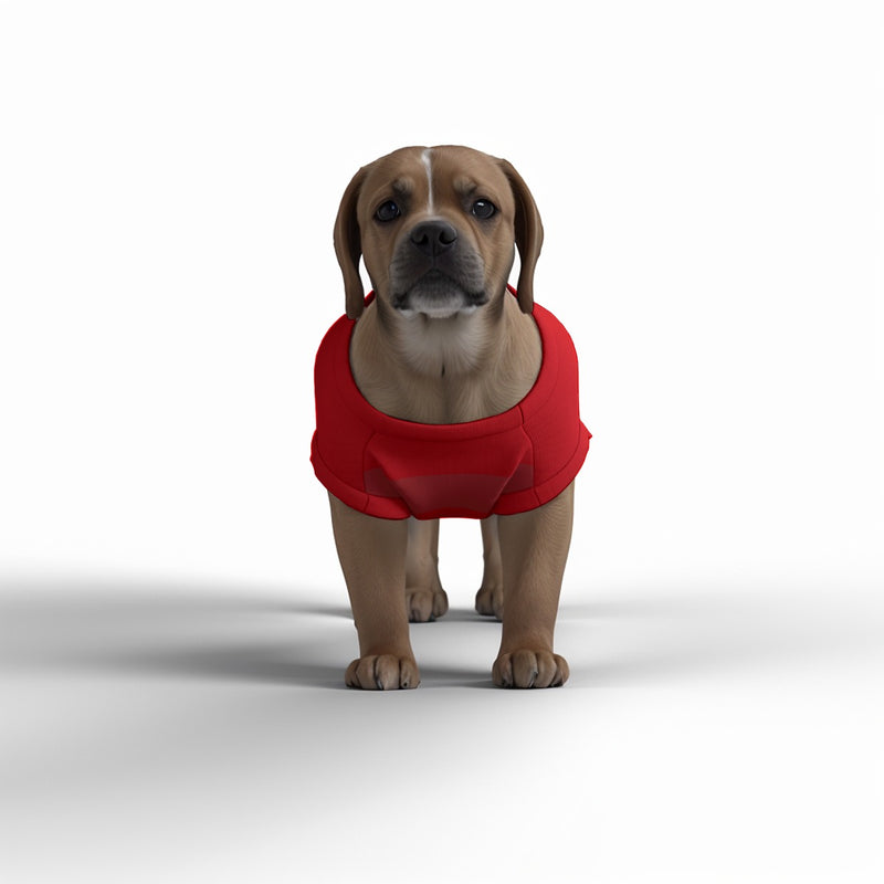 Arsenal FC 25/26 Home Inspired Graphic Pet Tee Shirt (Size M-2x)