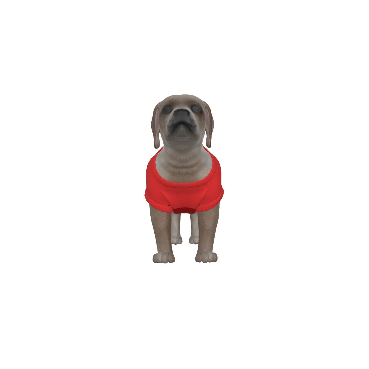 Nottingham Forest FC 25/26 Home Inspired Pet Graphic Tee Shirt (Sizes XS-Small)