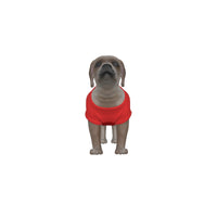 Nottingham Forest FC 25/26 Home Inspired Pet Graphic Tee Shirt (Sizes XS-Small)