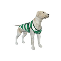Celtic FC 25/26 Home Kit Inspired Personalized Tank