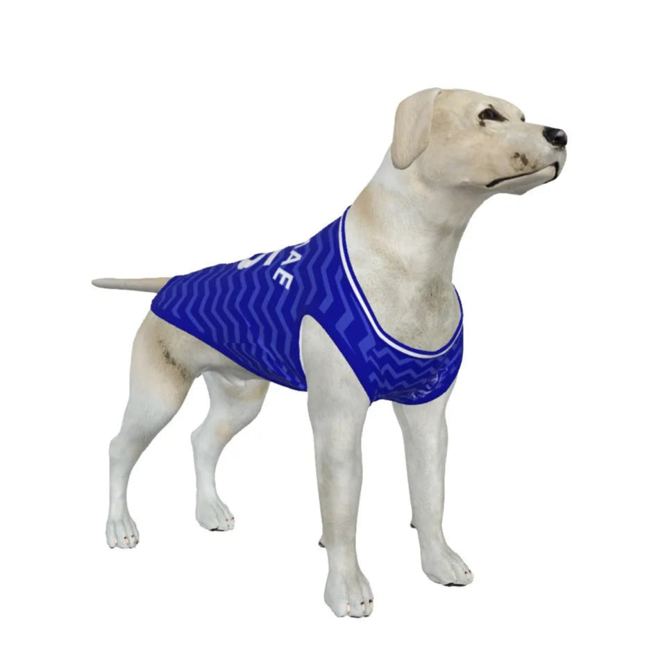 Everton FC 25/26 Home Kit Inspired Personalized Tank