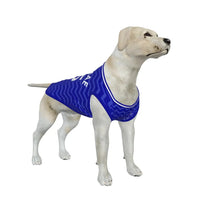Everton FC 25/26 Home Kit Inspired Personalized Tank