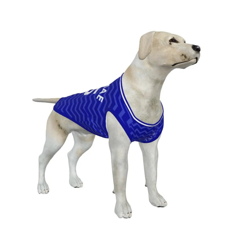 Everton FC 25/26 Home Kit Inspired Personalized Tank