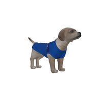 Chelsea FC 25/26 Home Inspired Pet Graphic Tee Shirt (Sizes XS-Small)