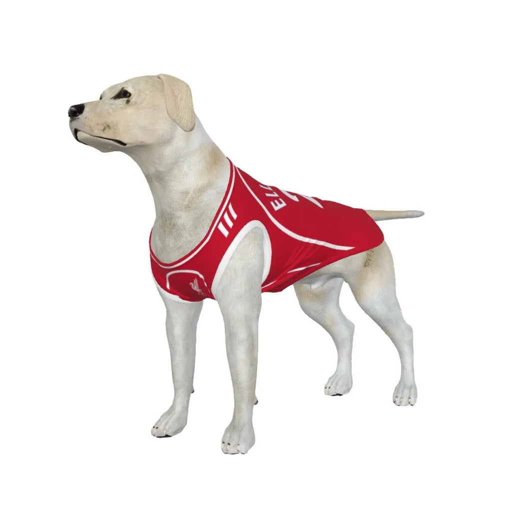 Liverpool FC 25/26 Home Kit Inspired Personalized Tank