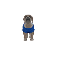 Chelsea FC 25/26 Home Inspired Pet Graphic Tee Shirt (Sizes XS-Small)