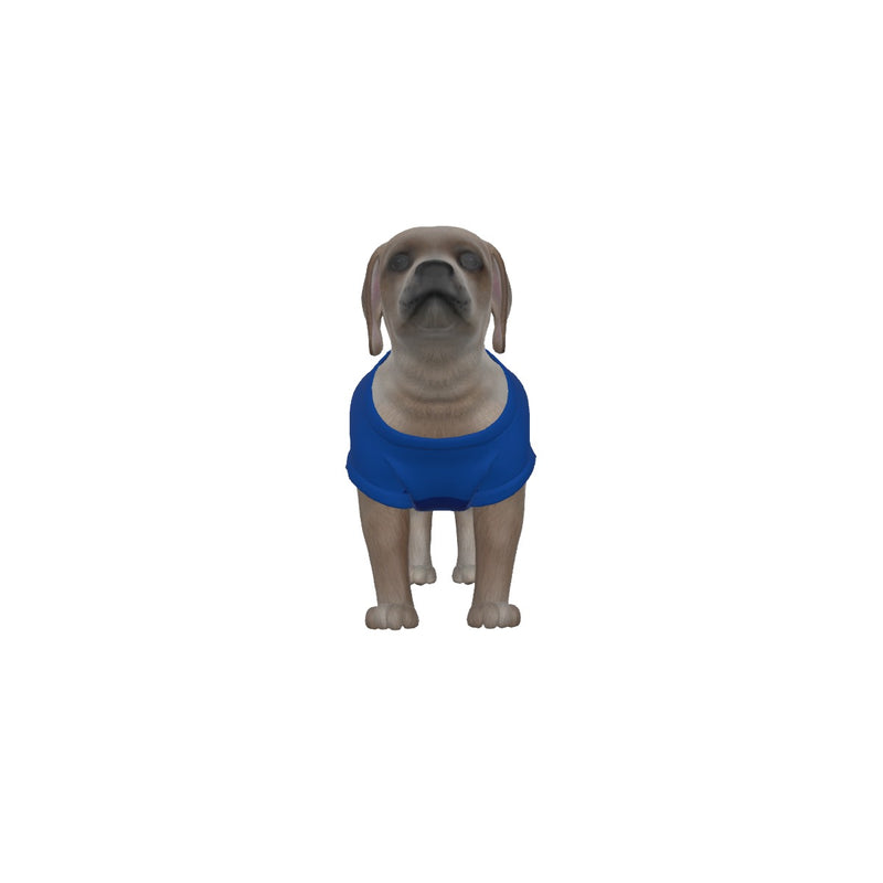Chelsea FC 25/26 Home Inspired Pet Graphic Tee Shirt (Sizes XS-Small)