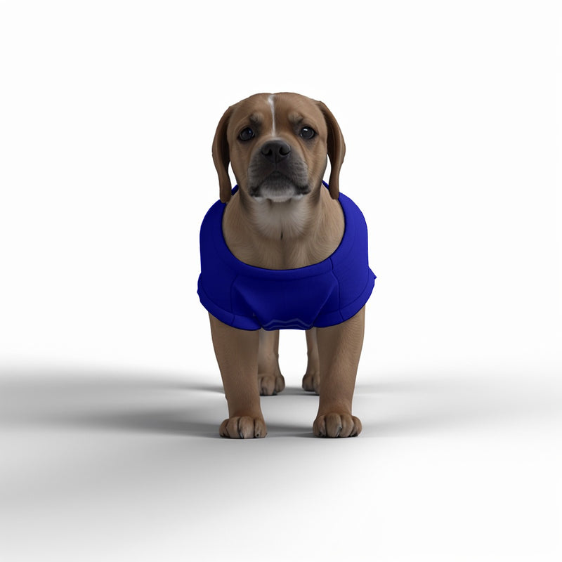 Everton FC 25/26 Home Inspired Pet Graphic Tee Shirt (Sizes XS-Small)