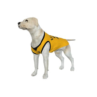 Wolverhampton FC 25/26 Home Kit Inspired Personalized Tank
