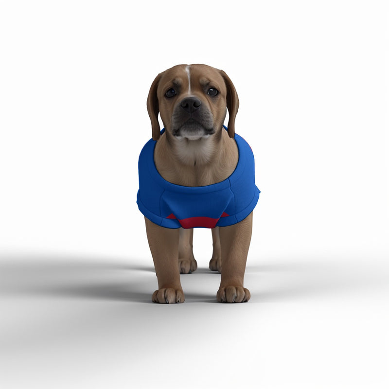 Crystal Palace FC 25/26 Home Inspired Pet Graphic Tee Shirt (Sizes XS-Small)
